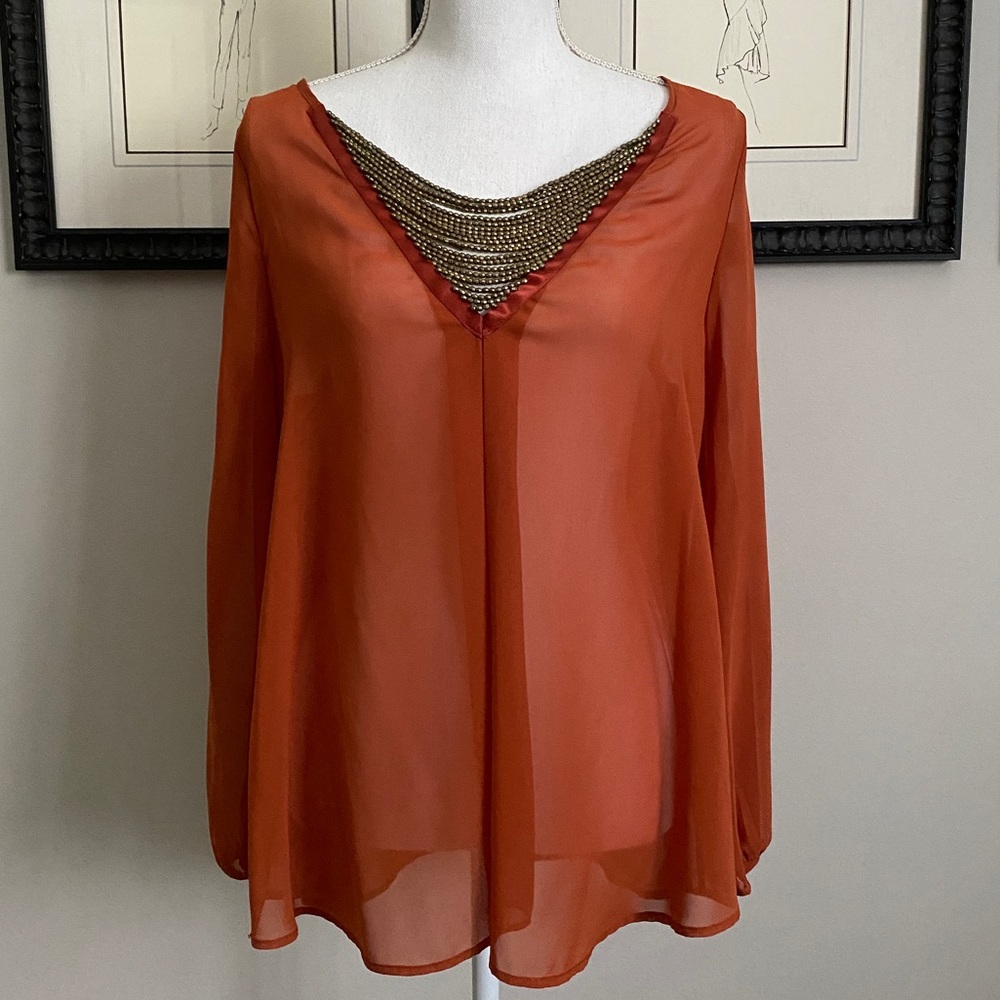 Sheer Burnt Orange Top